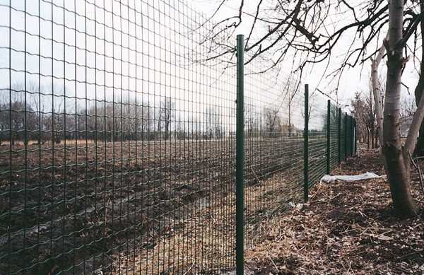 Забор из сварной сетки оцинкованной 50х50 купить Москва