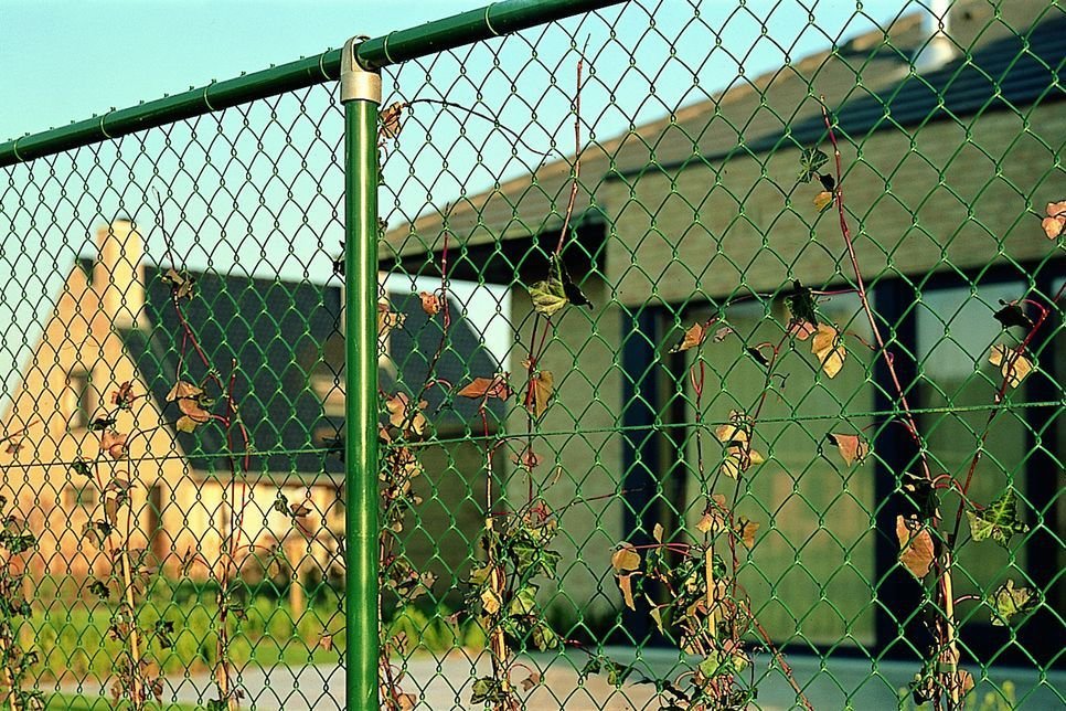 Забор из сетки рабица с полимерным покрытием купить Москва
