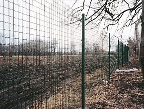 Забор из сварной сетки оцинкованной 50х50 купить Москва
