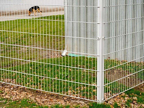 Оцинкованный забор из сетки для частного дома купить Москва